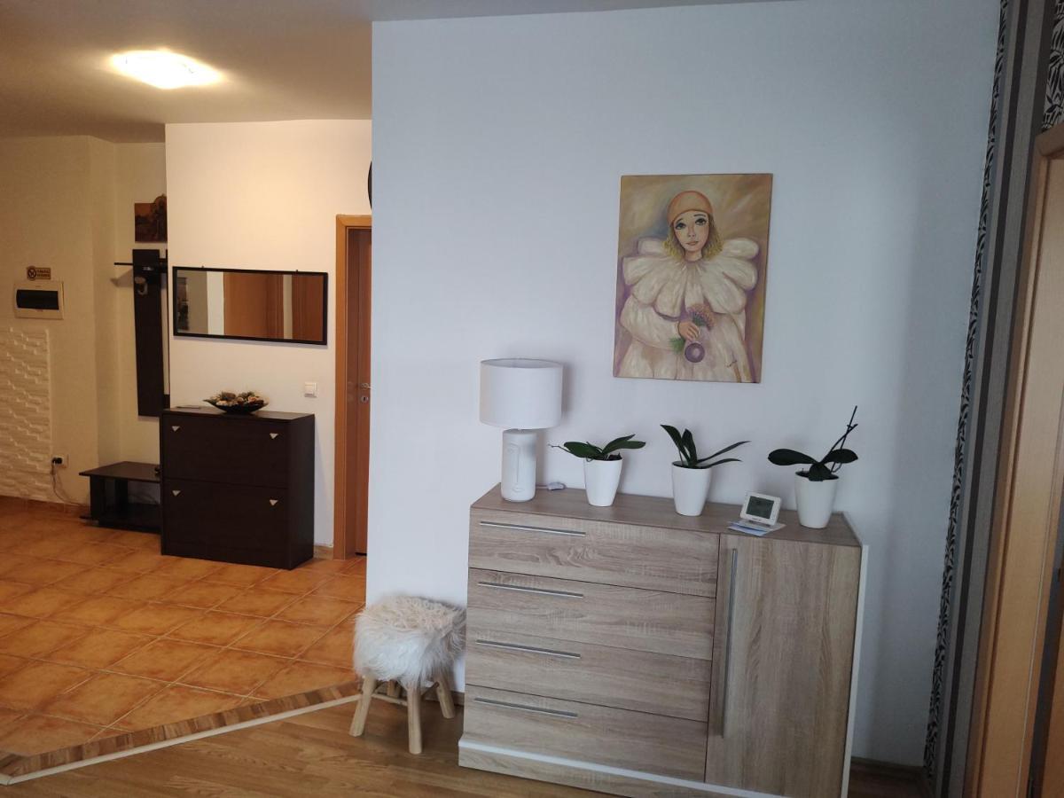 Avantgarden1 .Apartament Lux Brassó Kültér fotó