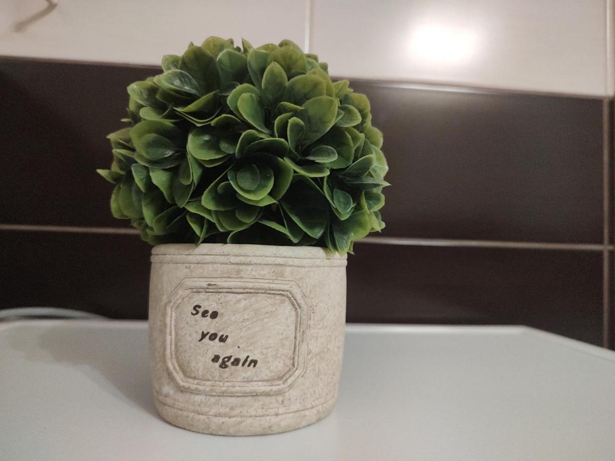 Avantgarden1 .Apartament Lux Brassó Kültér fotó